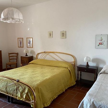 La Casina Rosella Apartment Montaione Luaran gambar